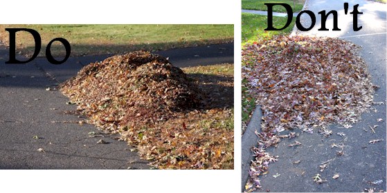 do and don't leaf