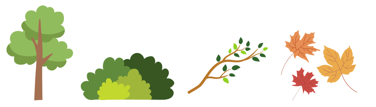 photo of tree, bush, leaves, and a branch