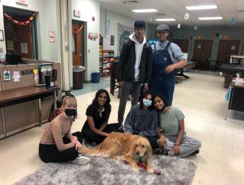 teens gathered around a golden retriever therapy dog