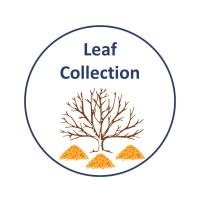 leaf collectoin