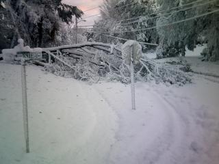 photo of snow storm