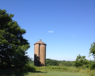 A tall, cylindrical silo stands in a green field under a clear blue sky, surrounded by trees.
