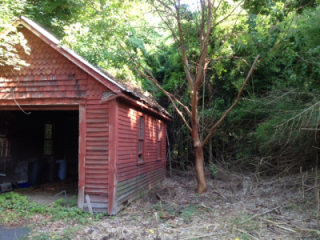 A weathered red shed surrounded by dense greenery and overgrown vegetation.