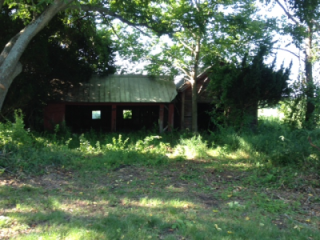 An overgrown area featuring an old, dilapidated barn partially obscured by trees and tall grass.